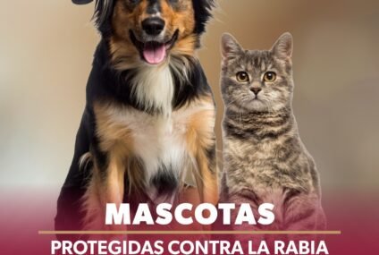 SSM vacuna a más de 104 mil perros y gatos contra la rabia en Michoacán SSM vacuna a más de 104 mil perros y gatos contra la rabia en Michoacán