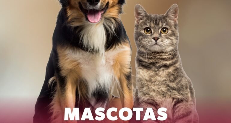 SSM vacuna a más de 104 mil perros y gatos contra la rabia en Michoacán SSM vacuna a más de 104 mil perros y gatos contra la rabia en Michoacán