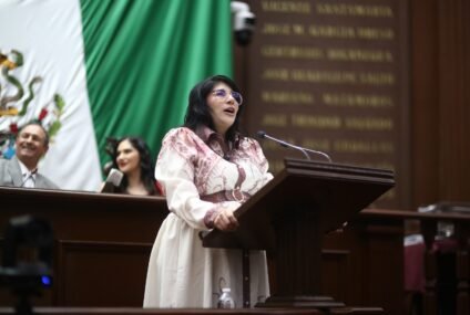 Que niñas, niños y adolescentes mantengan contacto con seres queridos que no tengan la custodia: Vanhe Caratachea