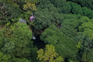 El impacto verde detrás de la gran obra del teleférico de Uruapan