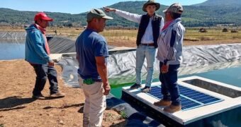 Más de 75 mdp invertidos en infraestructura hídrica para comunidades indígenas de Michoacán