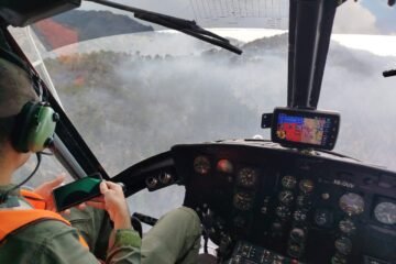 Atiende Gobierno de Michoacán incendio forestal en Nuevo Urecho