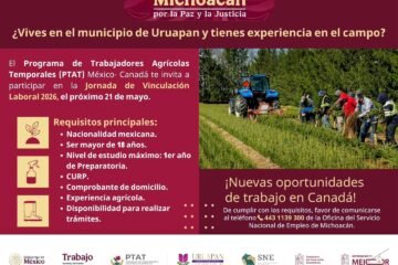 En Feria del Empleo, 205 oportunidades de trabajo