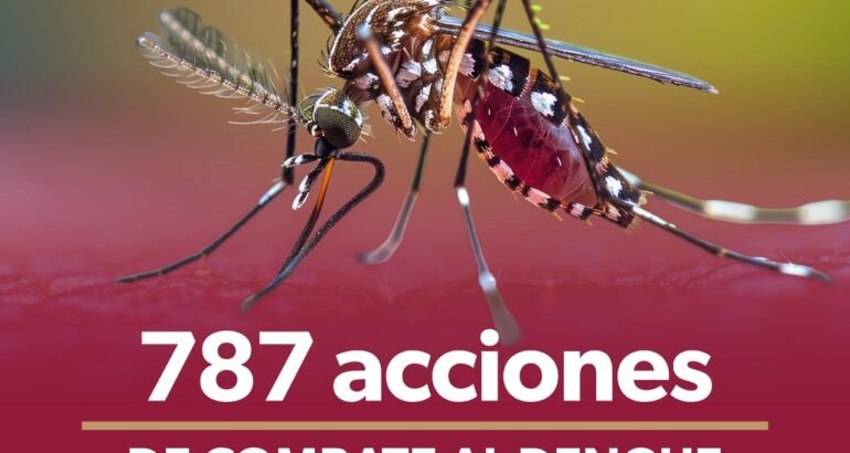 Refuerza SSM combate al dengue con más de 351 mil tareas de prevención