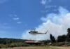 Con apoyo aéreo, 149 brigadistas combaten incendio forestal en Salvador Escalante: Cofom