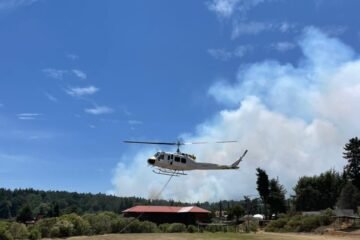 Con apoyo aéreo, 149 brigadistas combaten incendio forestal en Salvador Escalante: Cofom