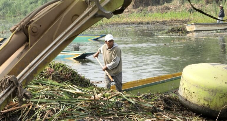 Bedolla constató el avance en el retiro de lirio y chuspata en los canales Las Garzas, Tócuaro, Jarácuaro y Chapultepec del lago de Pátzcuaro