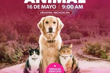 Gladyz Butanda invita a Jornada de Bienestar Animal en el teleférico de Uruapan