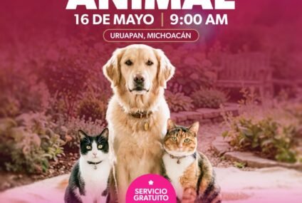 Gladyz Butanda invita a Jornada de Bienestar Animal en el teleférico de Uruapan