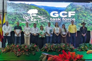 Michoacán se une a la élite mundial contra la deforestación Michoacán se une a la élite mundial contra la deforestación