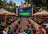 ¡El Mundial se vive en grande! Gobierno del Estado proyectará gratis los partidos en Ceconexpo