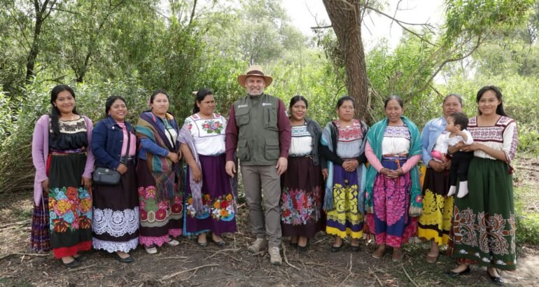Avanza limpieza de canales en el lago de Pátzcuaro; empleos temporales devuelven su vida: Bedolla