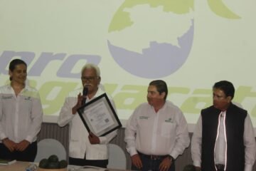Pro Aguacate Michoacán obtiene registro como Unión Estatal de Productores