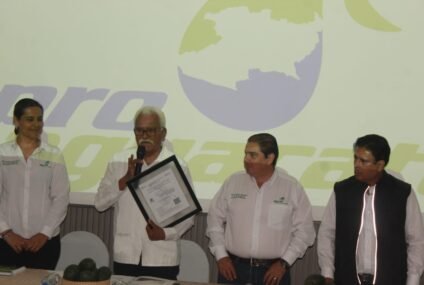 Pro Aguacate Michoacán obtiene registro como Unión Estatal de Productores
