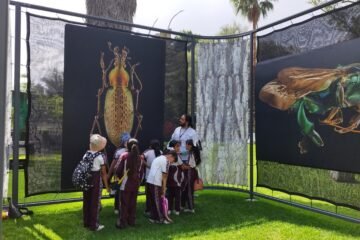 Invita SEE a la exposición Insectus en el Zoológico de Morelia