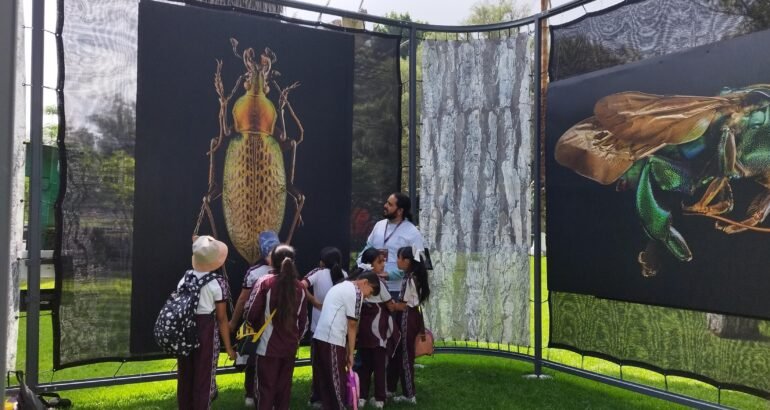 Invita SEE a la exposición Insectus en el Zoológico de Morelia