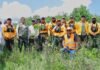 Michoacán va por récord verde; inicia Bedolla campaña para plantar 13 millones de árboles