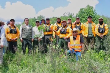 Michoacán va por récord verde; inicia Bedolla campaña para plantar 13 millones de árboles