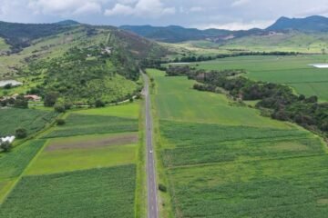 Michoacán rehabilita más de 2 mil kilómetros de red carretera estatal: Rogelio Zarazúa