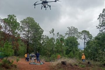 Dispersan 12 mil semillas en Pátzcuaro para restaurar el Estribo Grande Dispersan 12 mil semillas en Pátzcuaro para restaurar el Estribo Grande
