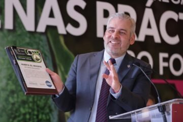 Certificación «ProForest Avocado»: El sello satelital que exigen 50 organizaciones en EE. UU.