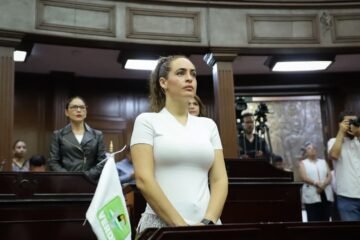 Endurecer penas por tala ilegal y devastación forestal en Michoacán, propone diputada Sandra Arreola