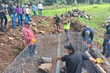 Con 260 presas filtrantes, retienen más de 30 mil metros cúbicos de azolve en lago de Pátzcuaro