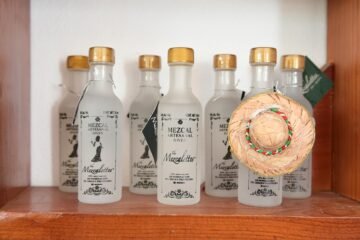 Sedeco convoca a participar en el nuevo Consejo Michoacano del Mezcal
