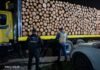 FGE aseguran vehículos que transportaban madera durante operativo coordinado en Pátzcuaro FGE aseguran vehículos que transportaban madera durante operativo coordinado en Pátzcuaro