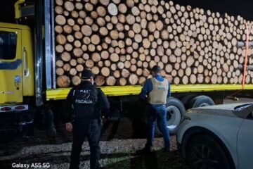 FGE aseguran vehículos que transportaban madera durante operativo coordinado en Pátzcuaro