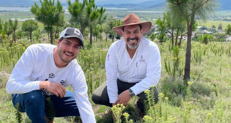 Priorizan rescate de cuencas y Áreas Naturales Protegidas en reforestación estatal