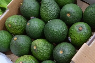 Michoacán, referente nacional en la protección del patrimonio gastronómico y artesanal Michoacán, referente nacional en la protección del patrimonio gastronómico y artesanal