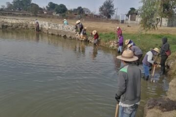 Con obras de conservación, Programa de Empleo Temporal blinda al lago de Pátzcuaro