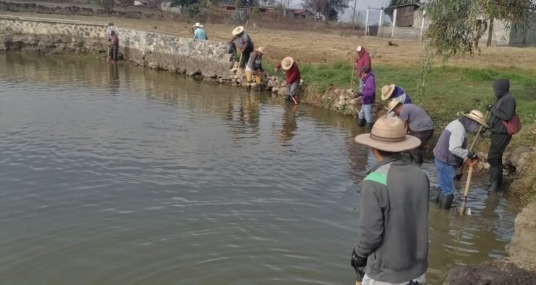 Con obras de conservación, Programa de Empleo Temporal blinda al lago de Pátzcuaro