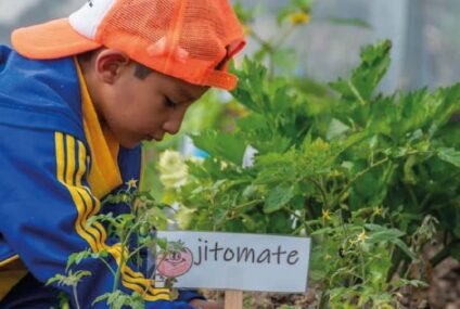 Atlas Pedagógico destaca prácticas ambientales de docentes michoacanos