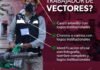 Evite fraudes: Aprenda a identificar a los brigadistas oficiales contra el dengue Evite fraudes: Aprenda a identificar a los brigadistas oficiales contra el dengue