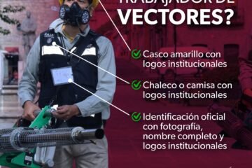 Evite fraudes: Aprenda a identificar a los brigadistas oficiales contra el dengue Evite fraudes: Aprenda a identificar a los brigadistas oficiales contra el dengue