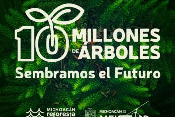 Cuidar nuestros bosques es garantizar el agua, el clima y la vida de nuestro estado