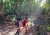 Este verano explora las áreas naturales protegidas de Michoacán en familia