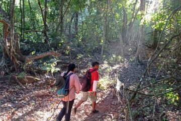 Este verano explora las áreas naturales protegidas de Michoacán en familia