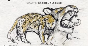 Secum invita al taller de dibujo y collage «Jaguares en su casa»