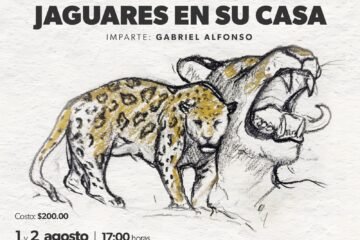 Secum invita al taller de dibujo y collage «Jaguares en su casa» Secum invita al taller de dibujo y collage «Jaguares en su casa»