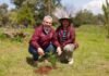 Estrategia ambiental de Michoacán sumará histórico de 50 millones de árboles reforestados: Bedolla Estrategia ambiental de Michoacán sumará histórico de 50 millones de árboles reforestados: Bedolla