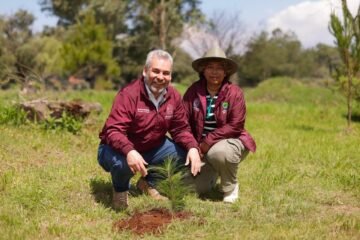 Estrategia ambiental de Michoacán sumará histórico de 50 millones de árboles reforestados: Bedolla
