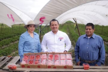 ENTRE FRESAS Y SILLAS, TORRES PIÑA RECORRE MARAVATÍO PARA ESCUCHAR Y RECONOCER SU FUERZA PRODUCTIVA