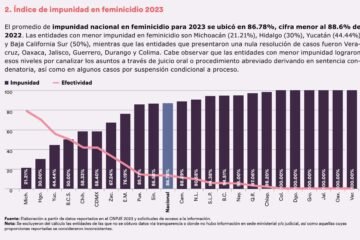 Michoacán, primer lugar nacional con menor impunidad en feminicidio