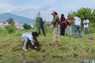 Pinos, fresnos y plantas para polinizadores serán los ejemplares que se reforestarán en Morelia Pinos, fresnos y plantas para polinizadores serán los ejemplares que se reforestarán en Morelia