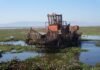 Intensifican trabajos de recuperación en el lago de Cuitzeo con maquinaria especializada