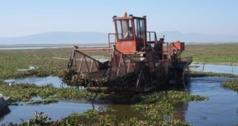 Intensifican trabajos de recuperación en el lago de Cuitzeo con maquinaria especializada