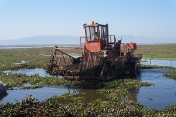 Intensifican trabajos de recuperación en el lago de Cuitzeo con maquinaria especializada